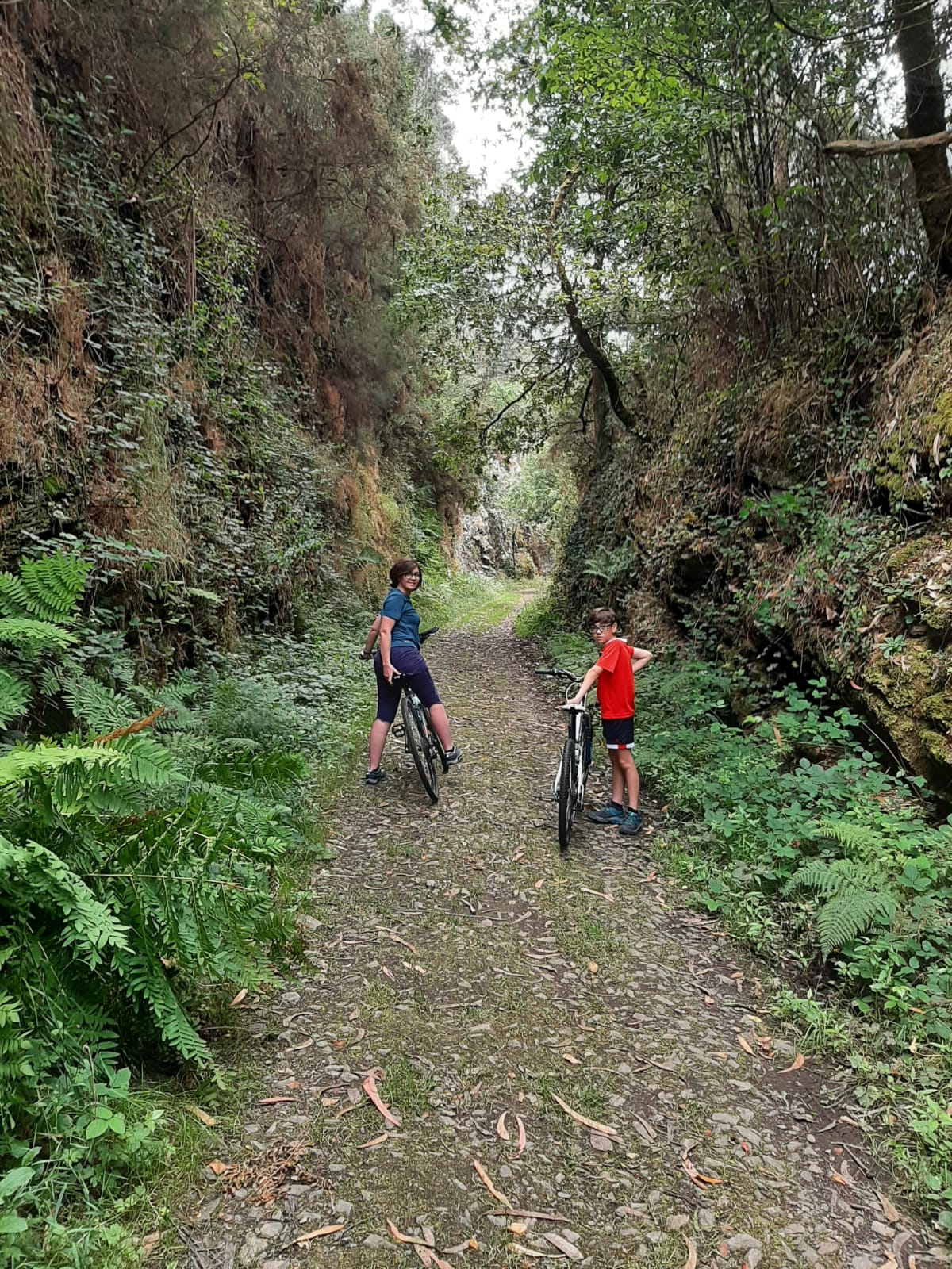 Alquiler de Bicicletas en Ribadeo